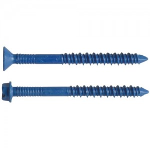 Concrete & Masonry Screw