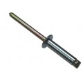 4 x 12mm STEEL DOME RIVET